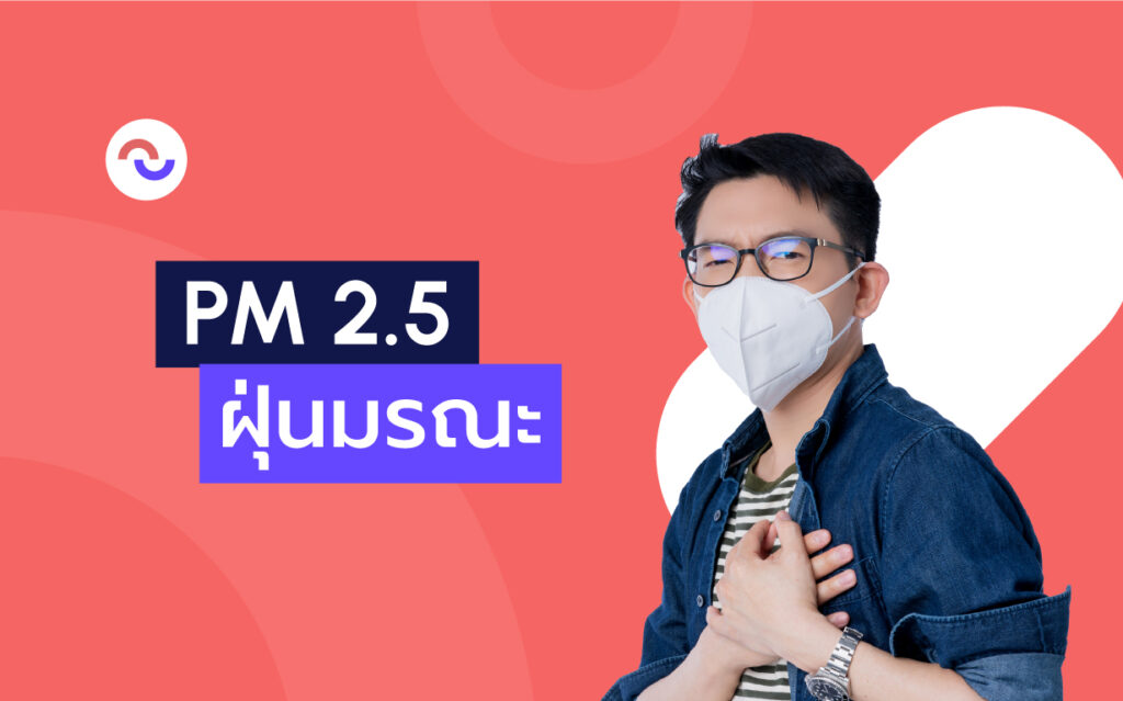 วิธีป้องกันฝุ่น PM 2.5