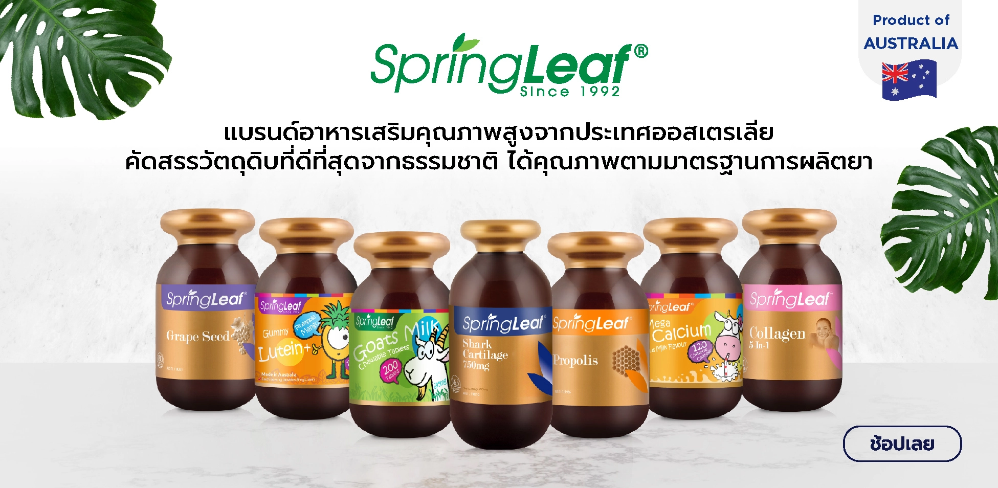 SpringLeaf | สปริงลีฟ ขายวิตามิน ขายอาหารเสริม นำเข้า | Tops Vita